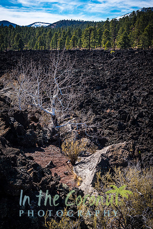 Sunset Crater