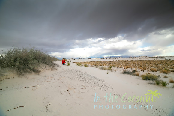 WHITE SANDS 2022