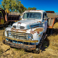 TRUCKS and GRILLS