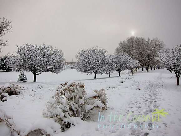 Winter Park