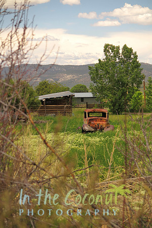 PENASCO IRON