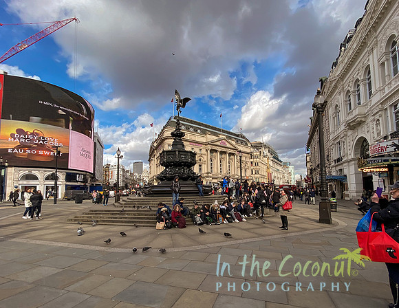 PICADILLY SQUARE