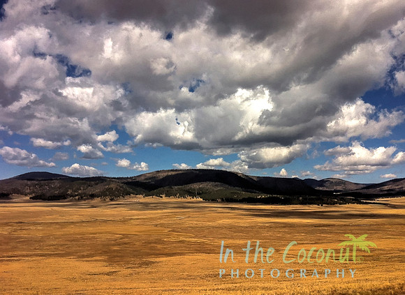 VALLE CALDERAS, NEW MEXICO