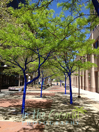Downtown ABQ Art trees