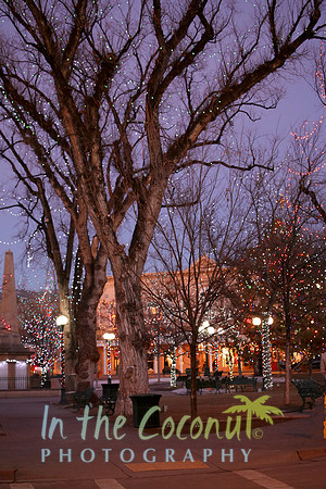 OLD TOWN SANTA FE NM