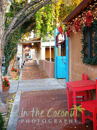 OLD TOWN Albuquerque NM