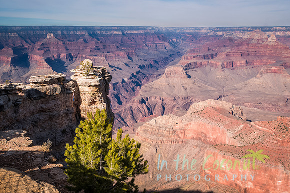 South Rim, Grand Canyon