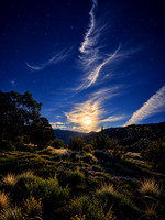 MOONS