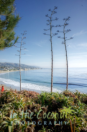 Newport Beach