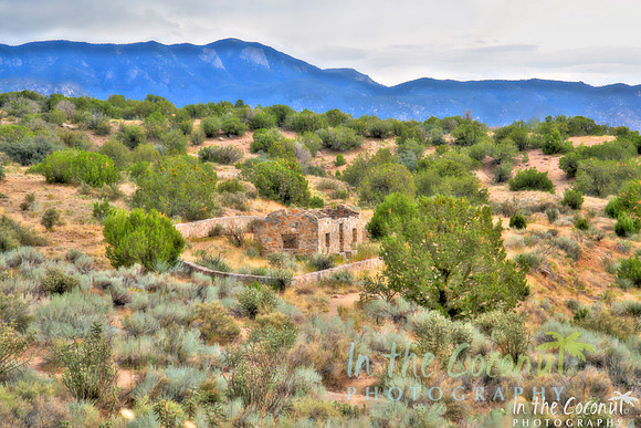 Painterly Rock House