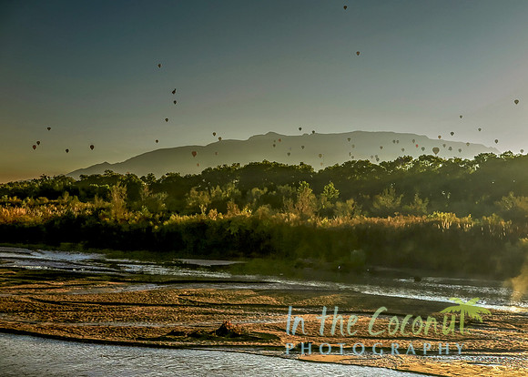 Sandia Balloons