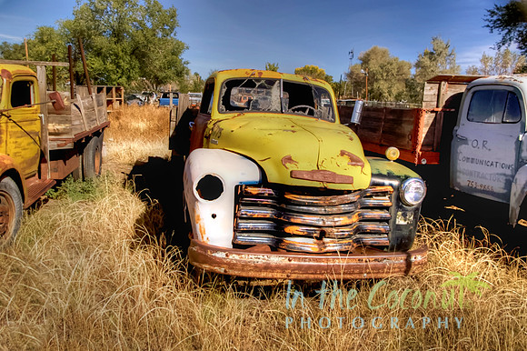 MELLOW YELLOW