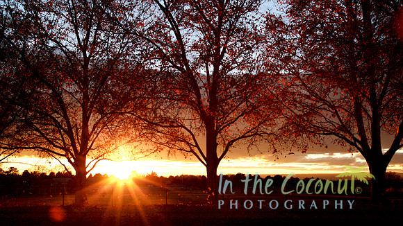 Osuna Park sunset