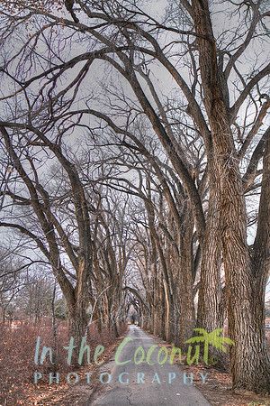 Los Poblanos Winter