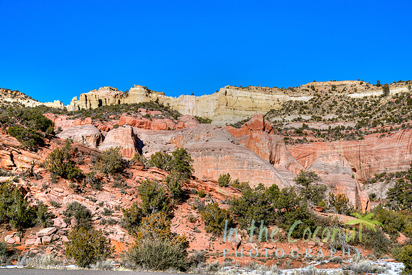 GALLUP NM