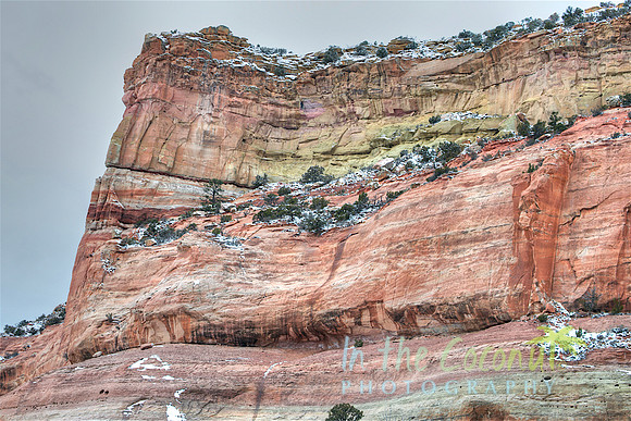 CONTINENTAL DIVIDE, GALLUP, NM