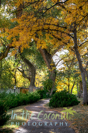 ABQ zoo path