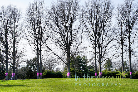 Yardley PA #5 PINK RIBBONS