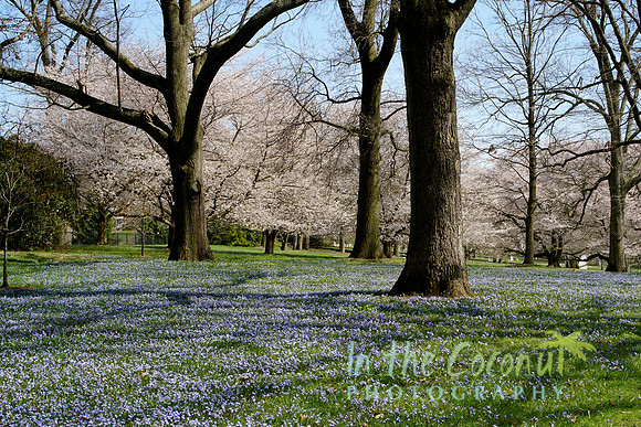 Yardley PA #1