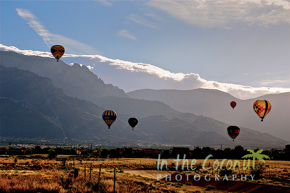 Balloons with Tram