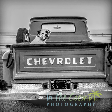 PETE B & W