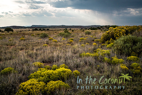 GALISTEO BASIN