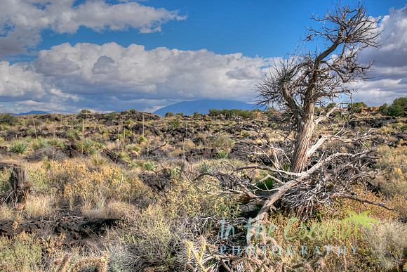 VALLEY OF THE FIRES