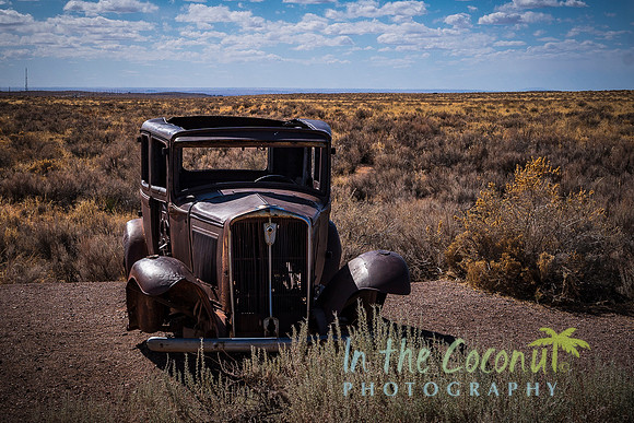 'ABANDONED"