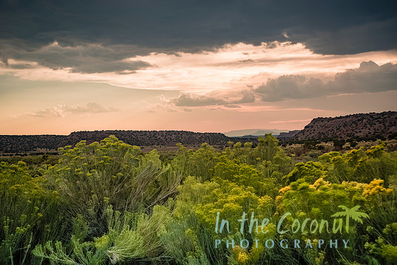 GALISTEO BASIN