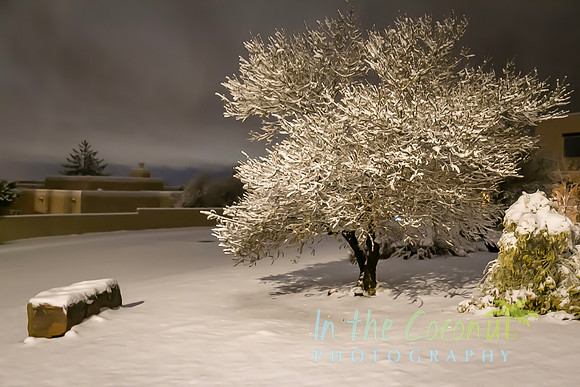 Neighborhood Snow #4