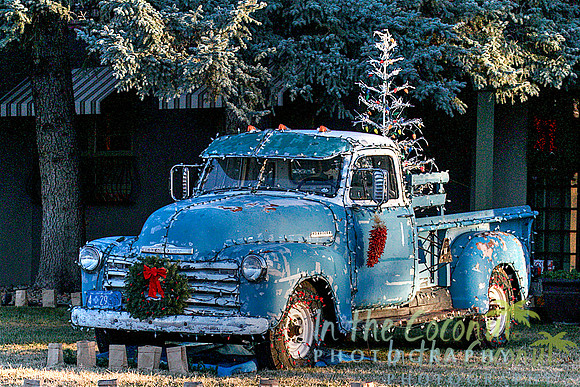 "FELIZ NAVIDAD"