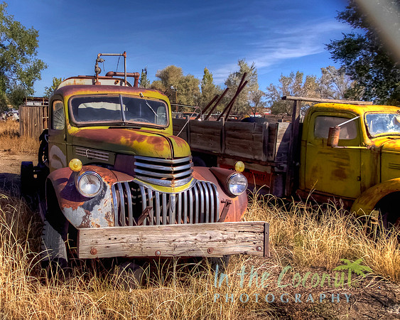 "RUSTY"