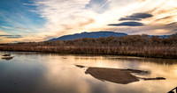 Golden Rio Grande