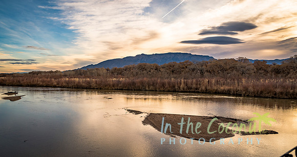 Golden Rio Grande