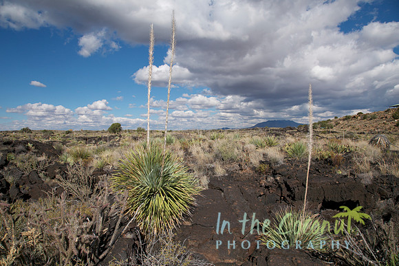 VALLEY OF THE FIRES