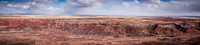 Petrified Forrest