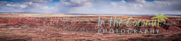 Petrified Forrest