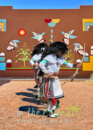 JEMEZ BUFFALO DANCERS