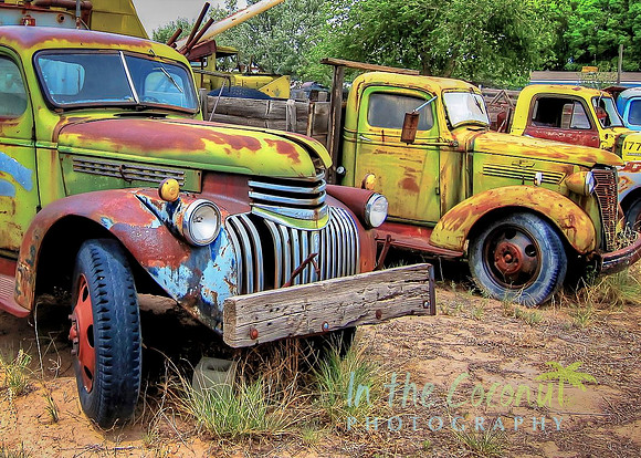 RUSTY AND FRIENDS"