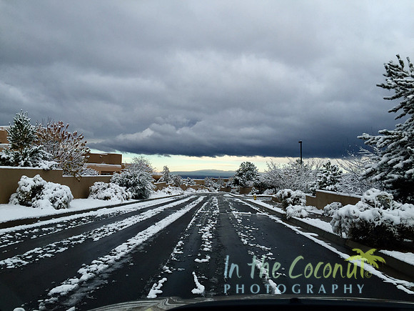 Snowy morning, Mount Taylor