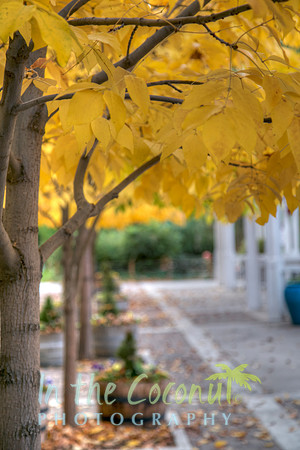 Albuquerque Botanical