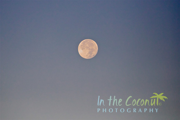 MORNING AFTER SUPER MOON