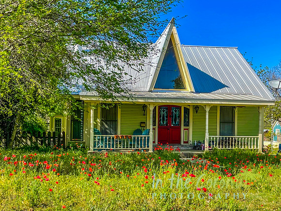 Poppy Festival in Georgetown, TX